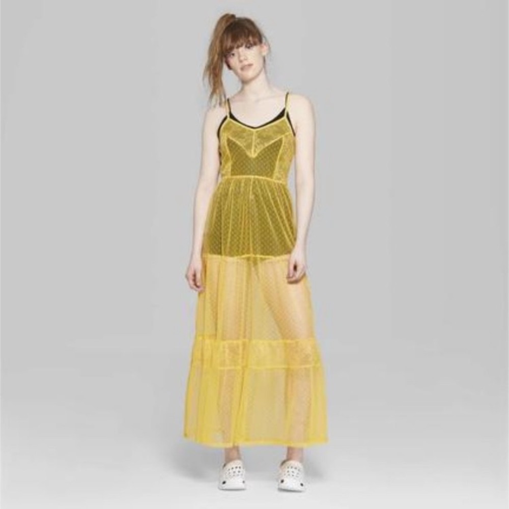 NWT Wild Fable Mesh Tiered Sheer Maxi Dress